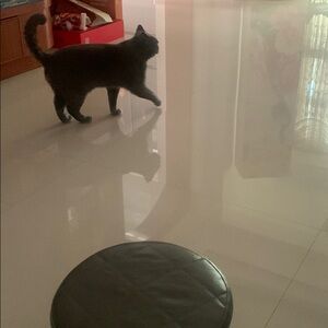 Meet your Posher, Malavet